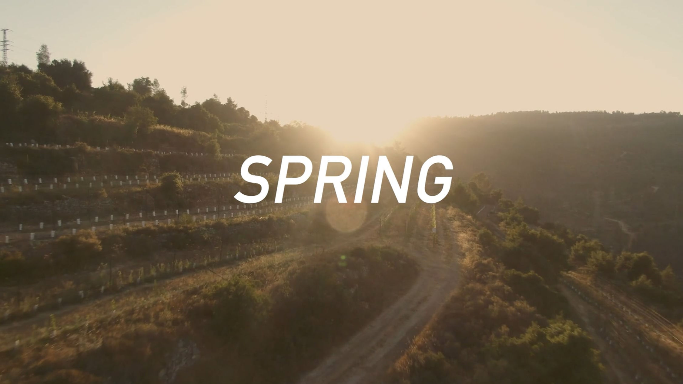 WINTER and 4 seasons | 2026